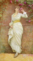 La rosa